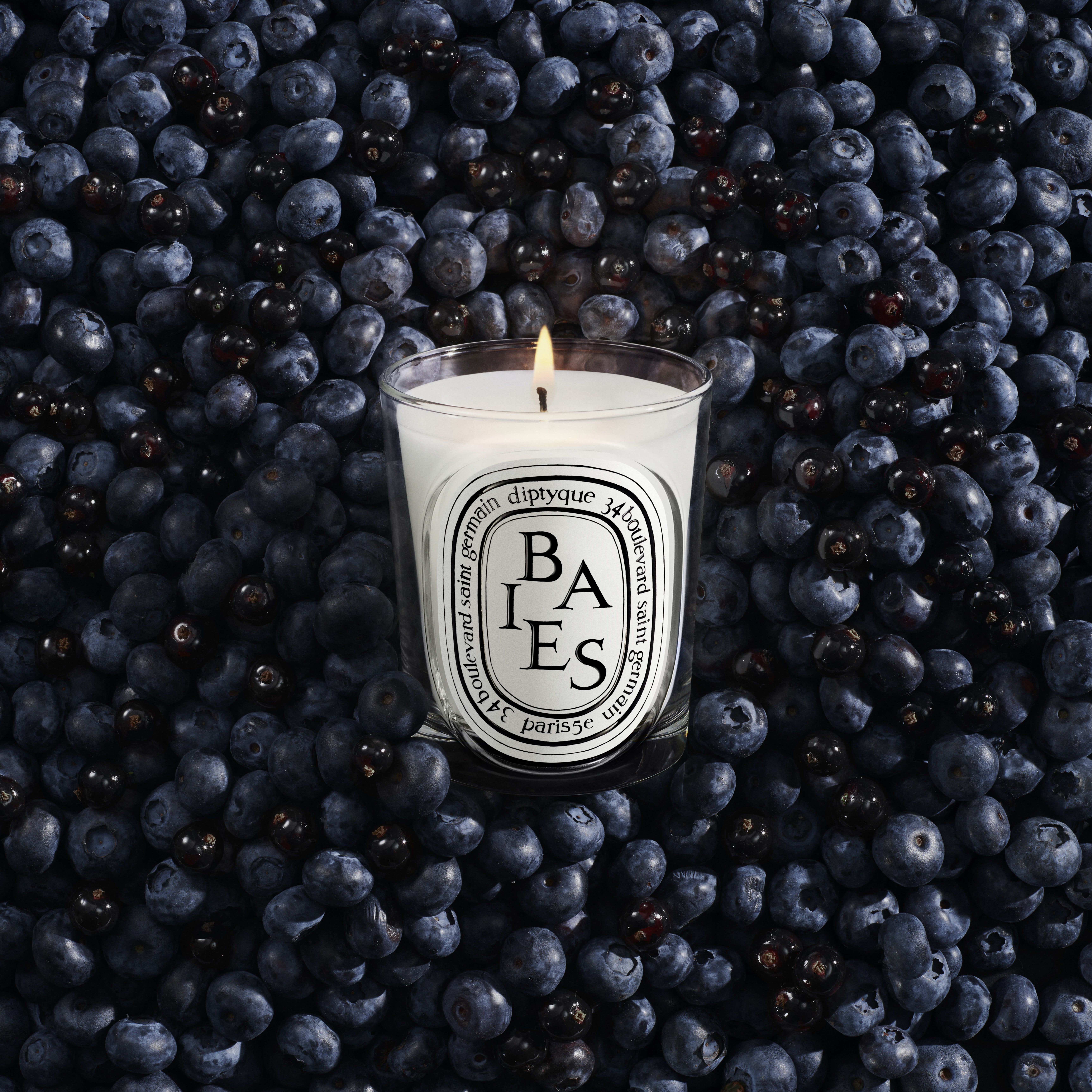 Diptyque Baies Classic Candle Refill | Space NK