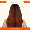 Normcore Signature Shampoo, , large, image3
