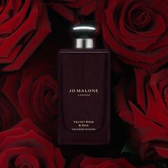 Velvet Rose & Oud Cologne, , large, image4