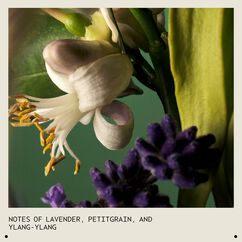 Abundant Blowout All-Over Volumizing Spray, , large, image6