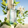 Eau Parfumée The Vert Eau de Toilette, , large, image4