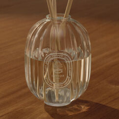Ambre Diffuser Set, , large, image8