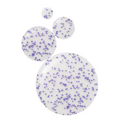 Violet Water Clearing Cleanser Blemish Control Facial Cleansing Gel, , large, image2