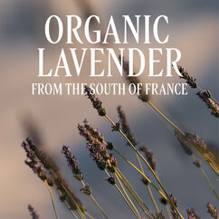 Lavender Bubble Bath, , large, image3