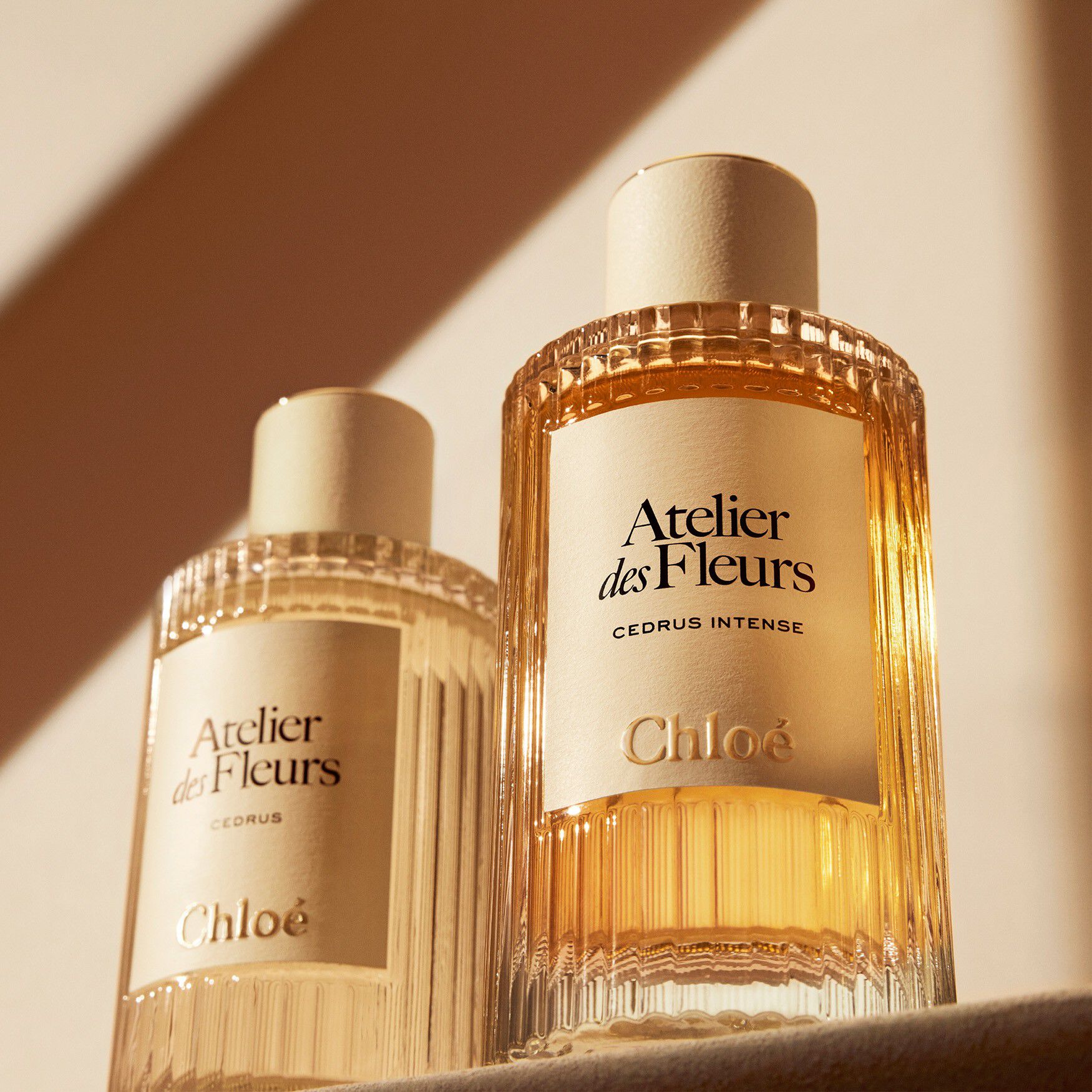 Chloé Atelier des Fleurs Cedrus Intense Eau de Parfum | Space NK