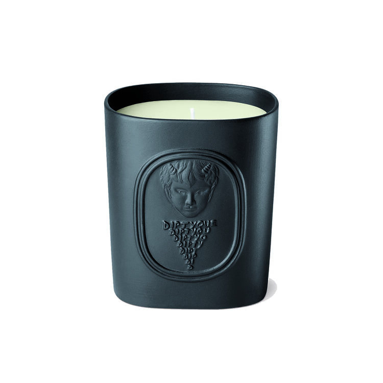Diptyque Scented Candle L'elide