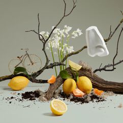 Quercus Eau de Cologne, , large, image3