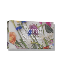Light and Bright Discovery Set, , large, image3