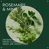 Rosemary Mint Purifying Shampoo, , large, image5