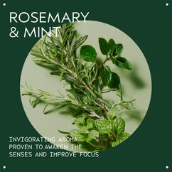 Rosemary Mint Purifying Shampoo, , large, image5