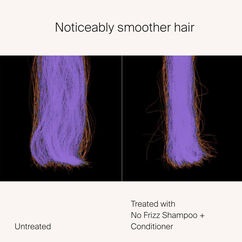 Shampooing No Frizz, , large, image6