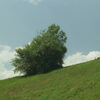 Bregenzerwald Body Oil, , large, image4