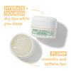 Lip Mask with Coconut & Mango, , large, image5