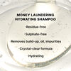Money Laundering Travel Duo, , large, image6