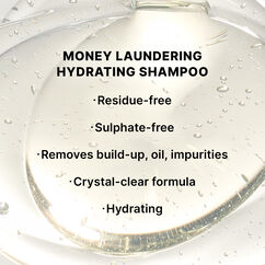 Money Laundering Travel Duo, , large, image6