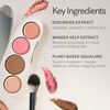 The Ethereal Baked Face Palette, LIGHT , large, image8