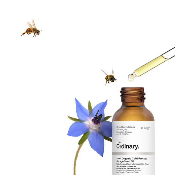100% Organic Cold-Pressed Borage Seed Oil, , large, image6