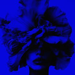 Iris Wallpaper Eau de Parfum, , large, image5