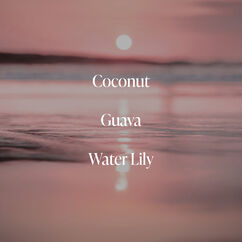 Coral Coast Body Wash, , large, image7