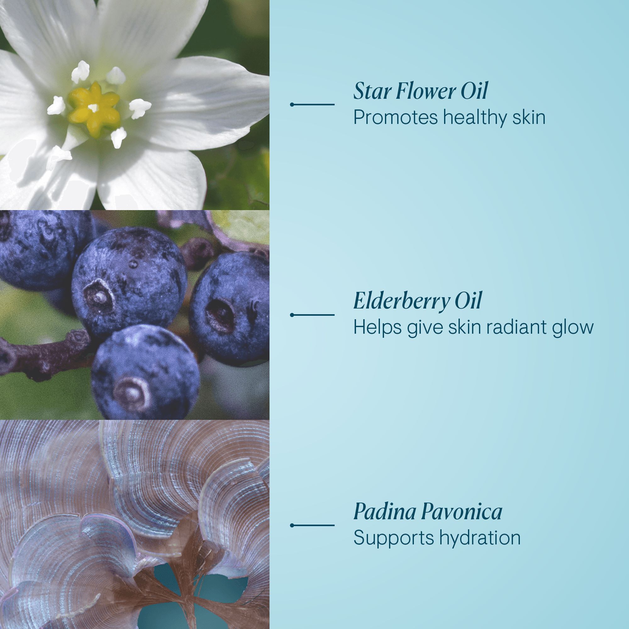 MELLIFE BALM CLEANSE DERMA CLEAR×4 PRODUCTS | MELLIFE（メリフ）