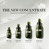The Concentrate, , large, image8