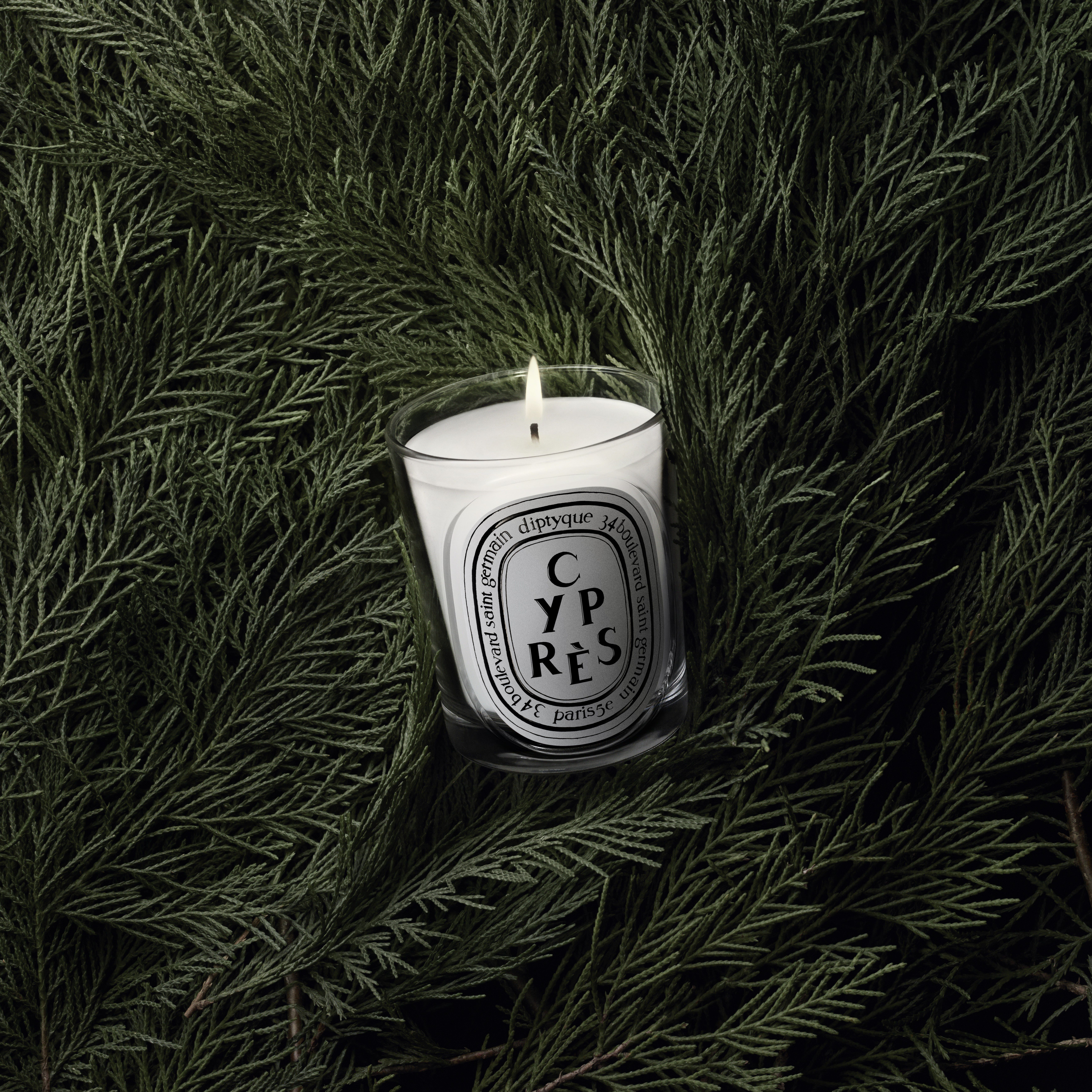 新品未使用　未開封　diptyque CYPRES candle 190g Diptyque Cyprès Classic Candle 190g | Space NK