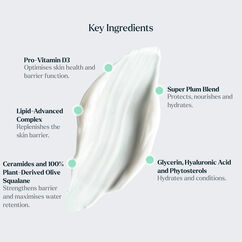 The Moisturiser, , large, image4