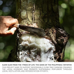 Man In Black Parfum, , large, image4