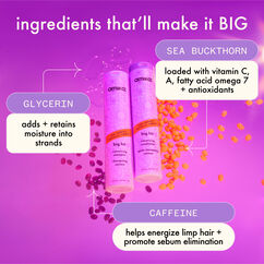 Big Hit Volumizing Shampoo, , large, image4