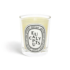 Eucalyptus Scented Candle