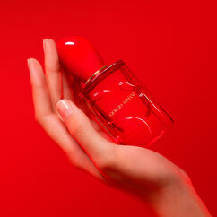 Si Passione Red Musk, , large, image3