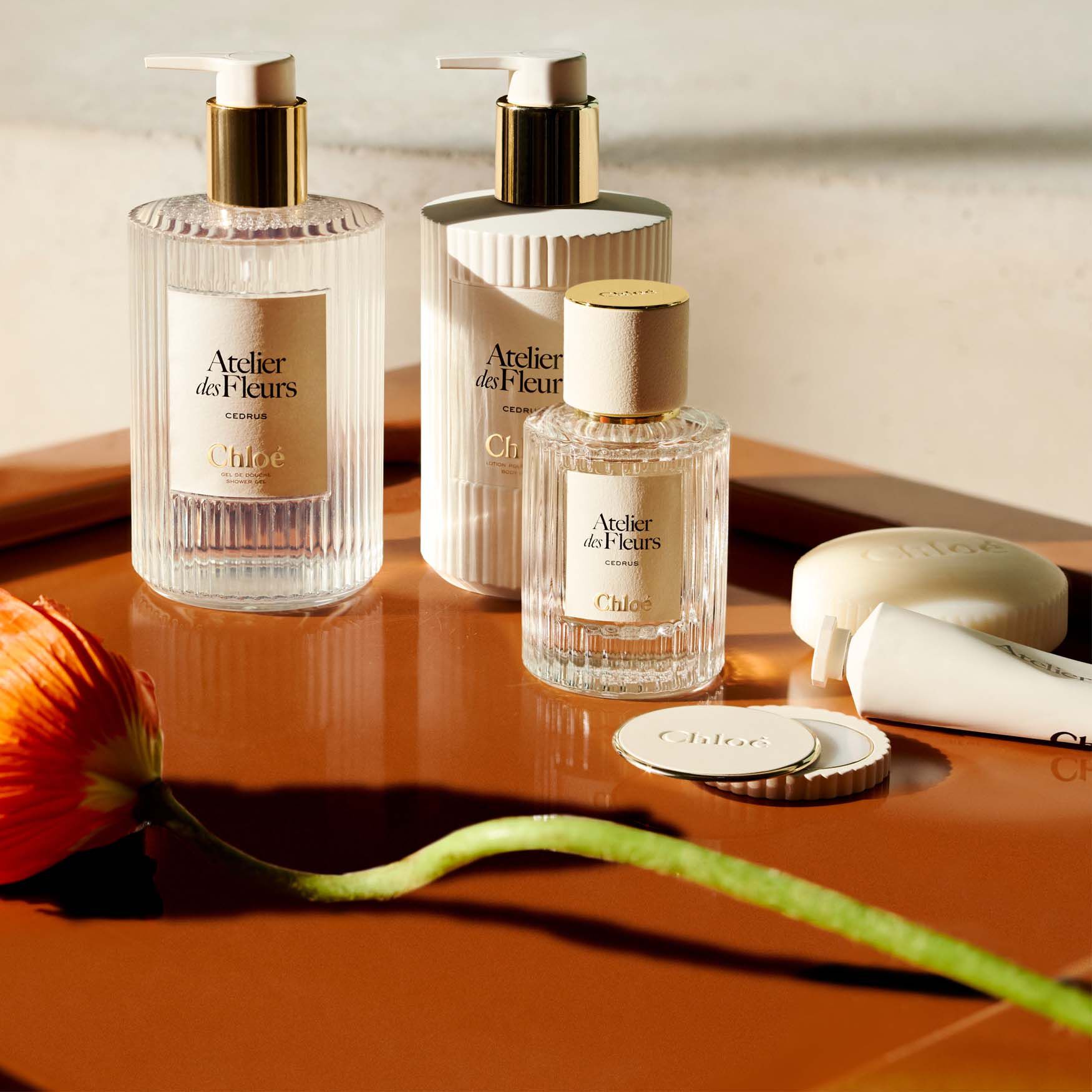 Chloé Atelier des Fleurs Cedrus Perfumed Body Lotion | Space NK