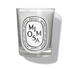 Diptyque X Pierre Frey Candle Duo Set, , large, image3