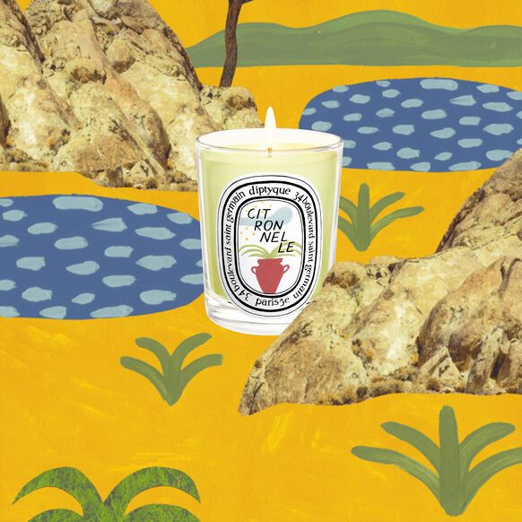 Diptyque Citronelle Scented Candle Space NK