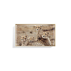 Cheetah Eye Trio, 2.5G, large, image5