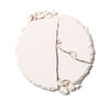 Blotting Powder Perfector, , large, image2