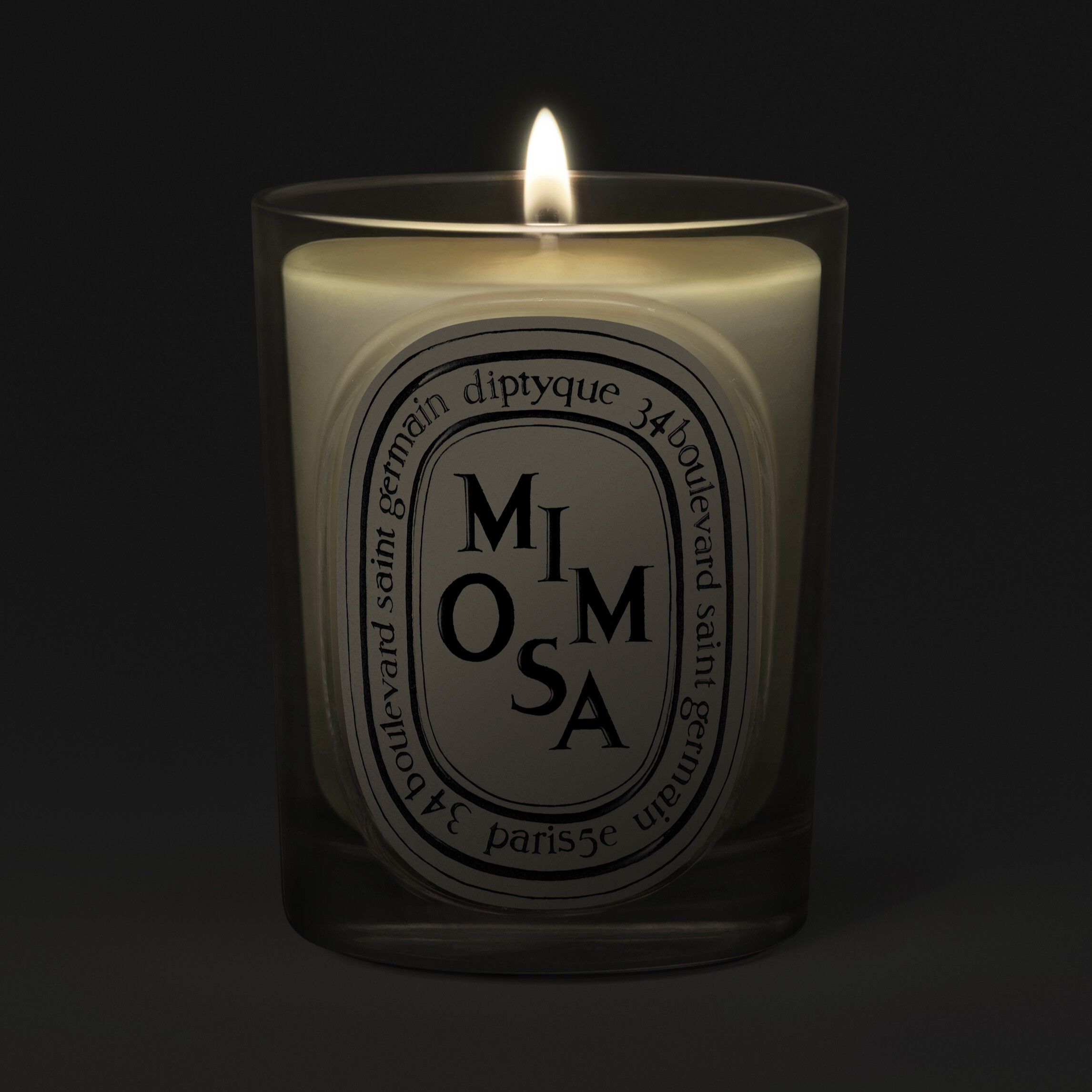 Diptyque Mimosa Classic Candle 190g | Space NK