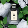 Wood Sage & Sea Salt Cologne, , large, image4