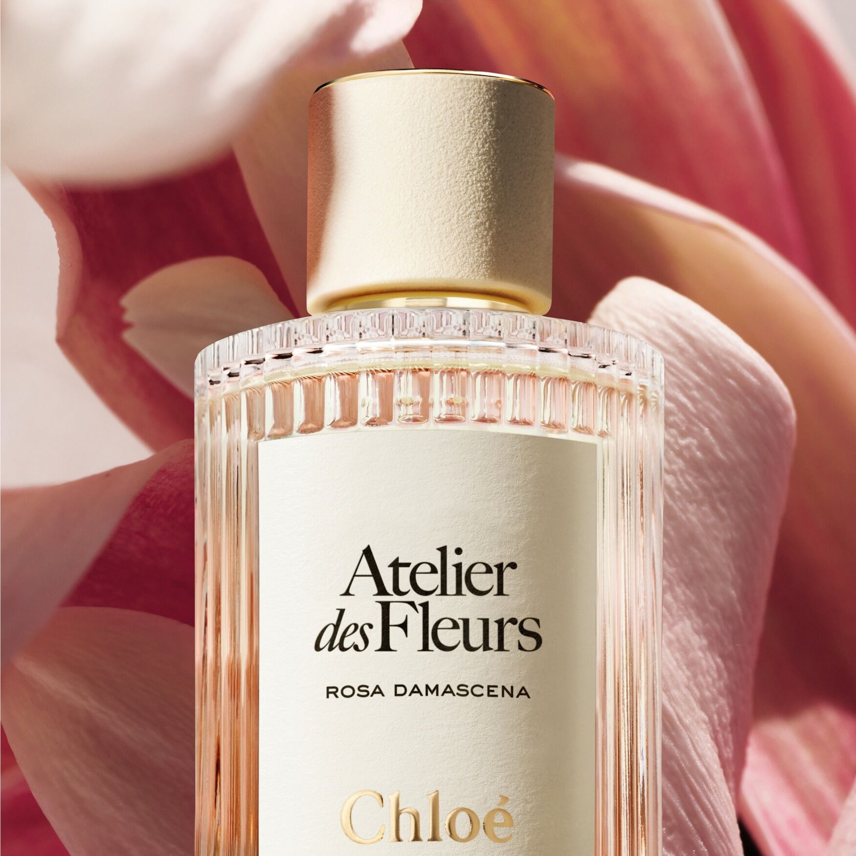 Chloé Atelier des Fleurs Rosa Damascena Eau de Parfum | Space NK