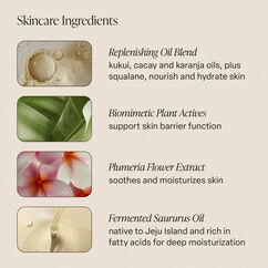 Coral Coast Body Oil, , large, image6