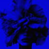 Iris Wallpaper Eau de Parfum, , large, image5