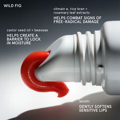 Balm Dotcom Lip Balm, WILD FIG, large, image9