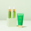 Spring Reset, , large, image4