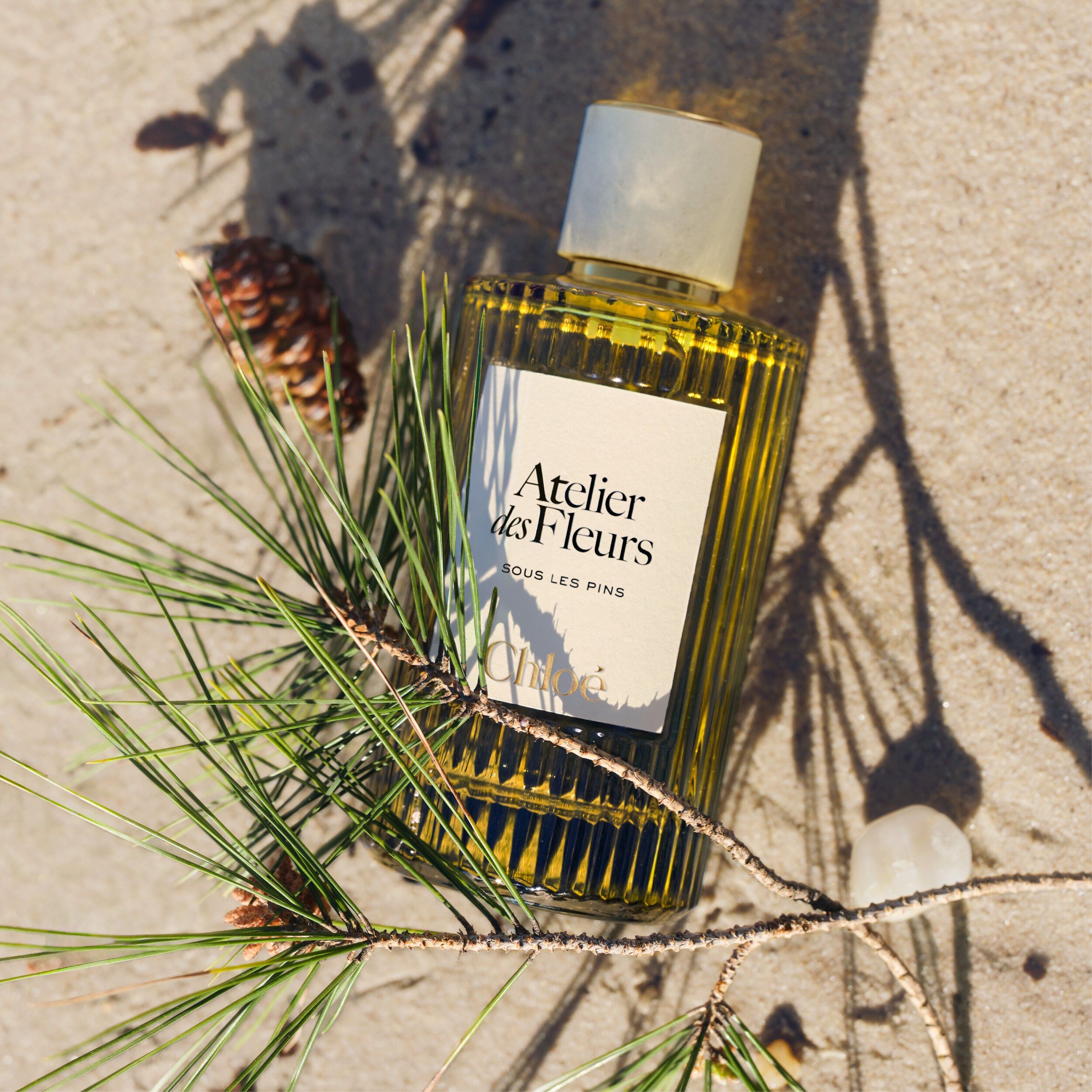 Chloé Sous les Pins Eau de Parfum | Space NK