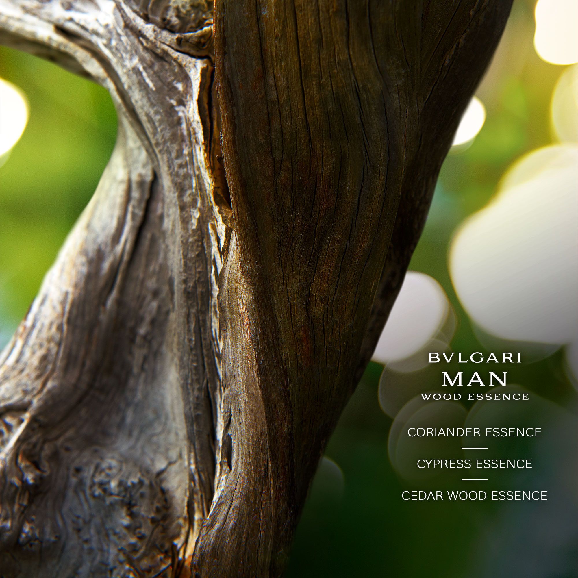 BULGARI Man Wood Essence Eau de Parfum | Space NK