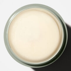 The Deodorant Eucalyptus, , large, image6