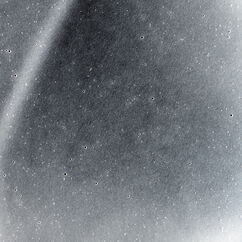 Even Tone, , large, image5