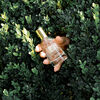 Smiley Face Garden EDP, , large, image6