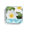 Wild Meadows Blush, APPLE BLOSSOM, large, image2
