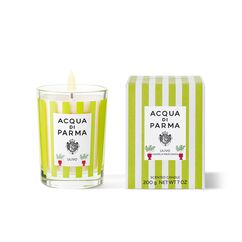Ulivo Candle, , large, image2